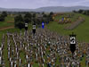 Medieval Total War